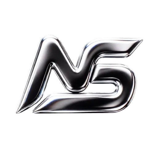NATSE Logo